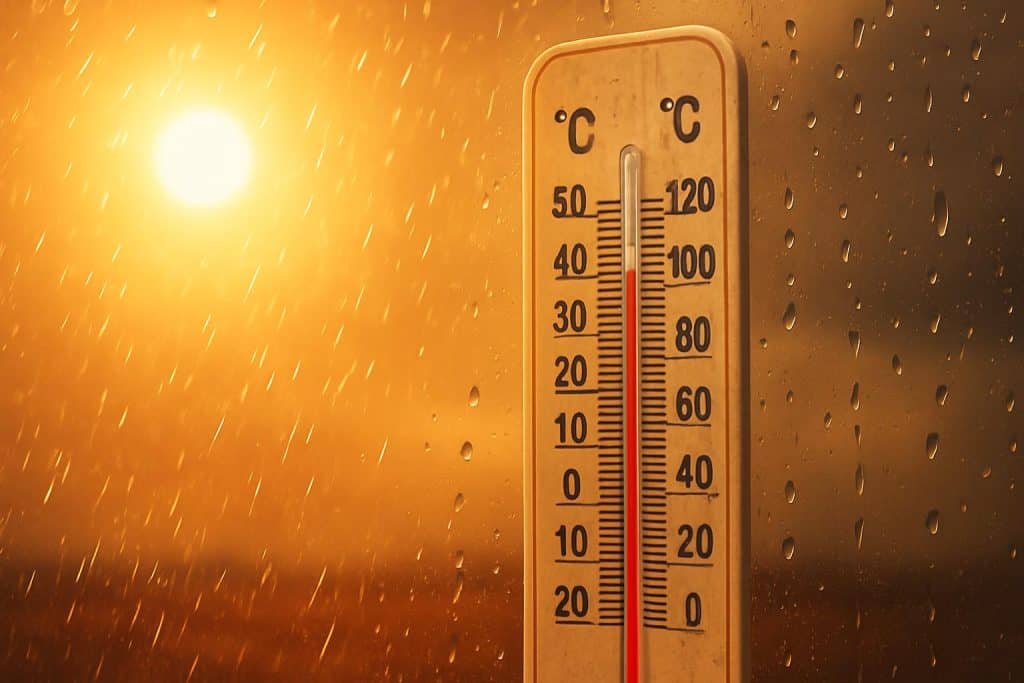 توقعات الخميس.. طقس حار نسبيا وقطرات مطرية خفيفة