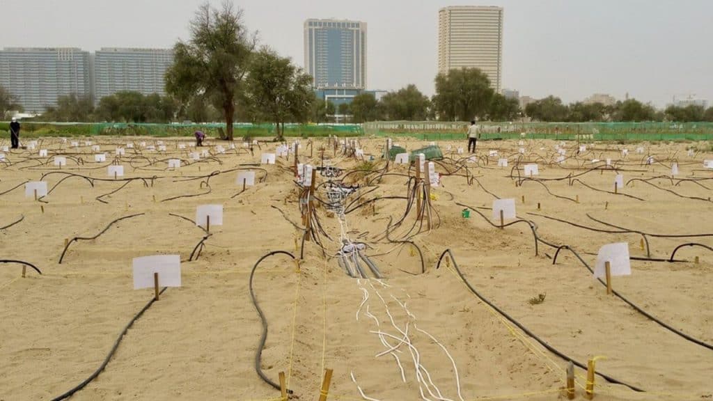 أسلاك وكابلات كهربائية في حقل رمل في مدينة حديثة، مع أبنية عالية في الخلفية.